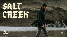 City of Pines 'Salt Creek' music video