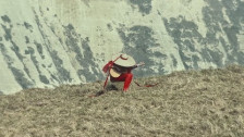 Aldous Harding 'Fixture Picture' music video