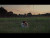 McKenna Grace 'Bones and All' music video