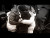 YFN Lucci 'JAN. 31st (my truth)' music video