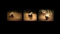 The Tokey Tones 'Bedroom Exotica' Music Video