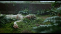 Johanna Warren 'Bed Of Nails' Music Video