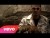 French Montana 'Gifted' music video