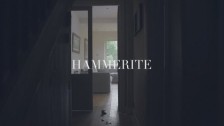 Luke & Charlotte Ritchie 'Hammerite' music video