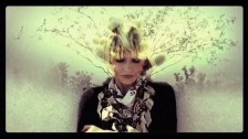 The Joy Formidable 'Cholla' music video