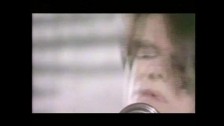 The Blow Monkeys 'The Day After You (Celebrate)' music video