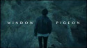 Victoria+Jean 'Window Pigeon' Music Video