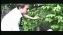 The New Pornographers 'The Slow Descent into Alcoholism' Music Video