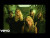 Dexter and The Moonrocks 'Why Don't You Say So' music video