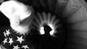 Carol Williams 'Love Is You (PELUSSJE Remix)' Music Video