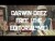 Darwin Deez 'Free (The Editorial Me)' music video