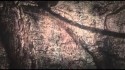 Hymnalaya 'In My Early Years' Music Video