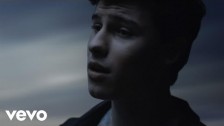 Shawn Mendes 'I Know What You Did Last Summer' music video