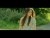 Jasmine Thompson 'Run' music video