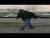 Body Meat 'Electrische' music video