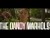 The Dandy Warhols 'Catcher in the Rye' music video