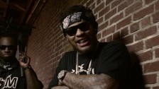 Waka Flocka Flame 'U The Type' music video