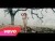 Haifa Wehbe 'Breathing You In' music video