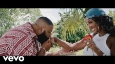 DJ Khaled 'Do You Mind' music video