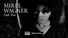 Mirel Wagner 'Oak Tree' music video