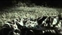 Valerie June 'Pushin' Against a Stone' Music Video