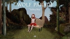 Wolf Parade 'Valley Boy' music video