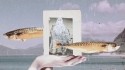 Cristina Donà 'Il senso delle cose' Music Video