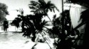 Sophie B. Hawkins 'California Here I Come' Music Video