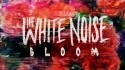 The White Noise 'Bloom' Music Video
