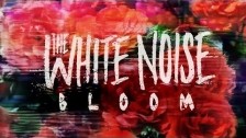 The White Noise 'Bloom' music video