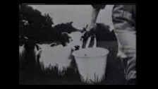 XTC 'Love on a Farm Boy's Wages' music video
