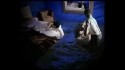 Etienne Daho 'Les Voyages Immobiles' Music Video