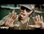 Future 'Tony Montana' music video