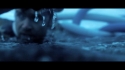The Salvadors 'Santa Monica' Music Video