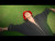 CYRIL 'Stumblin' In' music video
