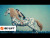 ILLIT 'SUPER REAL ME Film' music video