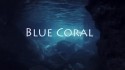 The Magpies 'Blue Coral' Music Video
