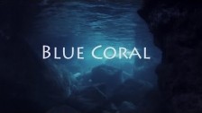 The Magpies 'Blue Coral' music video