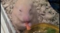 Parry Gripp 'This Is The Best Burrito I've Ever Eaten' Music Video