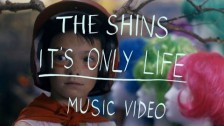 The Shins 'It's Only Life' music video