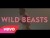 Wild Beasts 'Wanderlust' music video