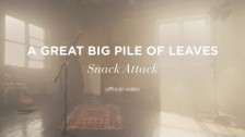A Great Big Pile Of Leaves 'Snack Attack' music video
