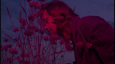 Jaakko Eino Kalevi 'People in the Centre of the City' music video