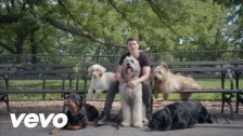 Timeflies 'Worse Things Than Love' music video