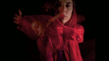 Julia Holter 'I Shall Love 2' music video