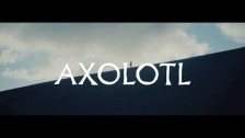 The Veils 'Axolotl' music video