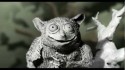 Turin Brakes 'Sea Change' Music Video