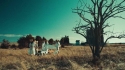 The Black Keys 'Weight Of Love' Music Video