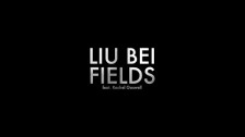 Liu Bei 'Fields' music video