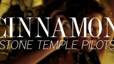 Stone Temple Pilots 'Cinnamon' music video
